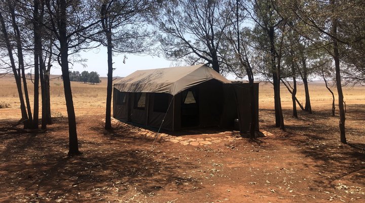 Sibani Urban Safaris
