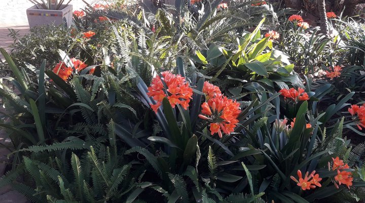 Helberg Bed and Breakfast