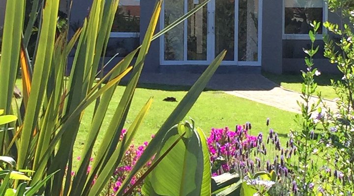 Castleton Penthouse Plettenberg Bay
