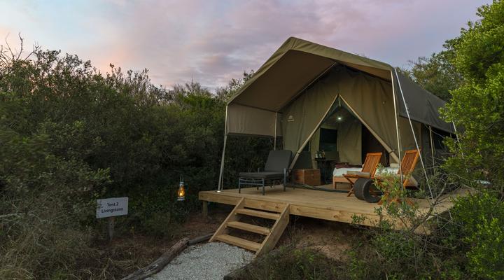 Shamwari Explorer Camp