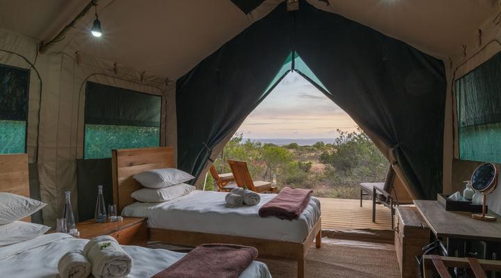 Shamwari Explorer Camp