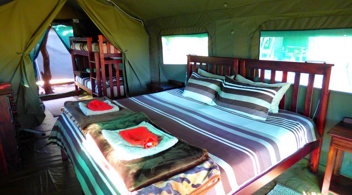 Thorn Tree Bush Camp - Accommodation