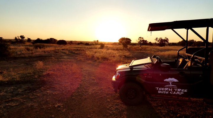 Thorn Tree Bush Camp - Accommodation