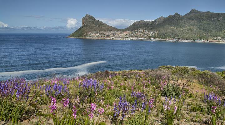 7 The Village Hout Bay