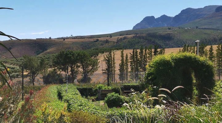 Drakein Farm Paarl