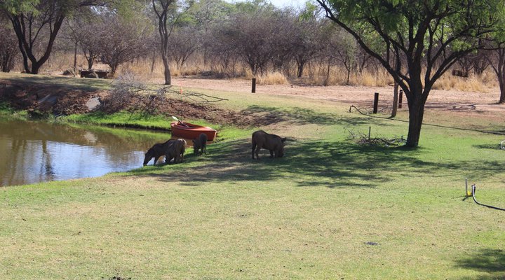 Buffelsvlei Lodge