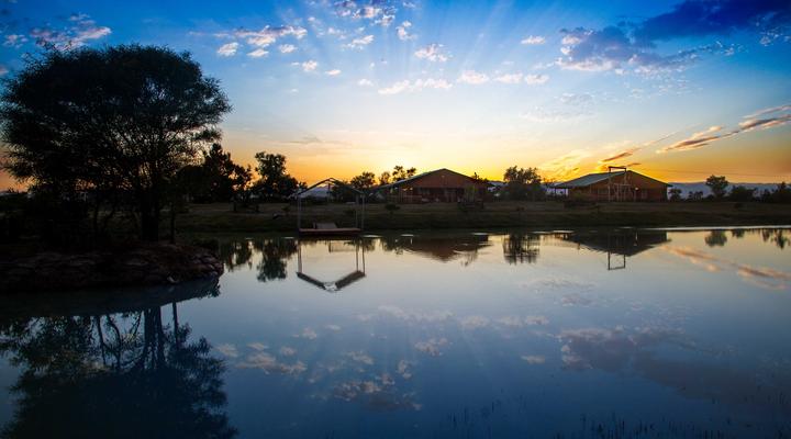 The Barnard's Barnyard