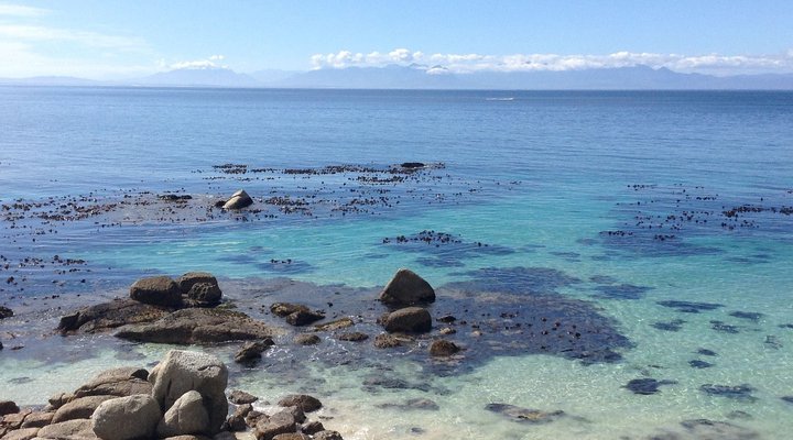 Scarborough: Holiday Homes, Cottages and Cabins