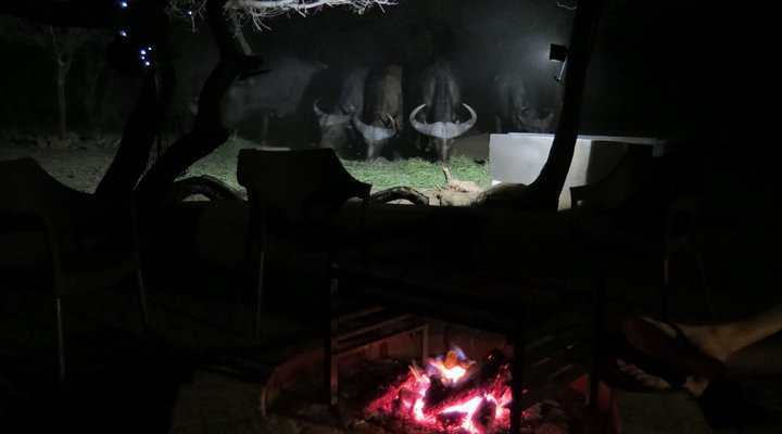 Chill-'n-Biki Lodge Mabalingwe