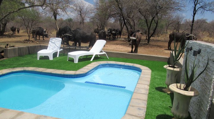 Chill-'n-Biki Lodge Mabalingwe