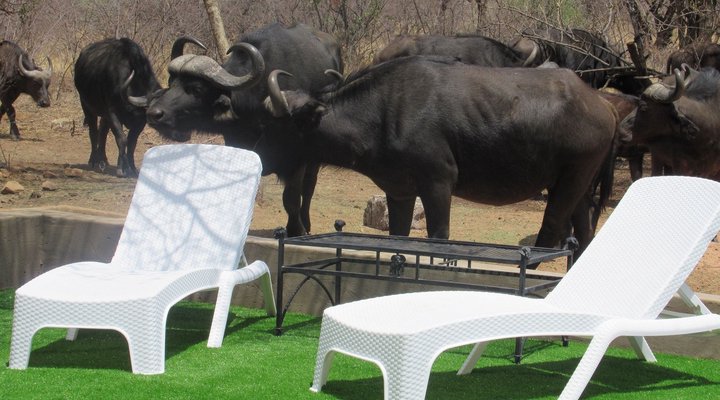 Chill-'n-Biki Lodge Mabalingwe