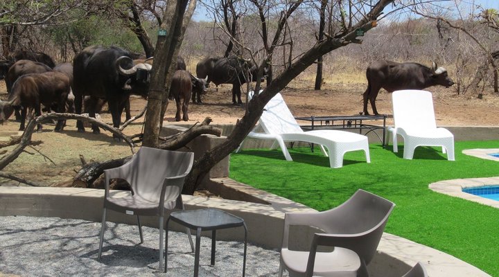Chill-'n-Biki Lodge Mabalingwe