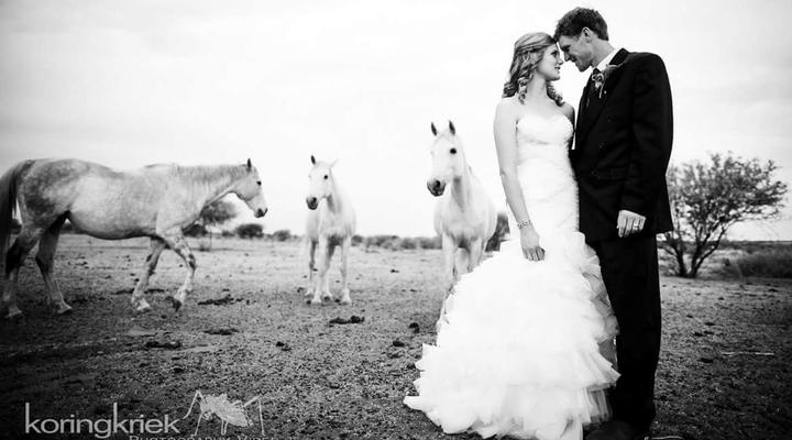 The Ranch Overnight Chalets