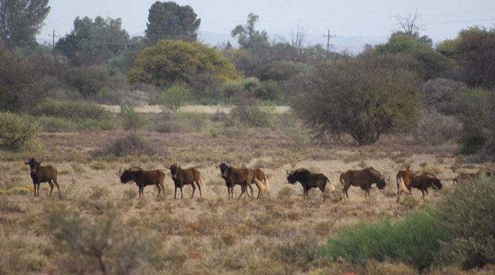 The Ranch Overnight Chalets