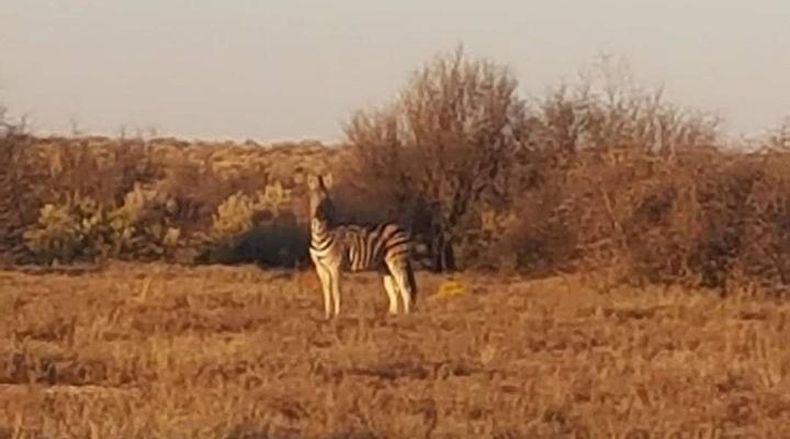 The Ranch Overnight Chalets