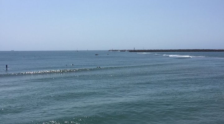 Pearl of Oysters in Umhlanga