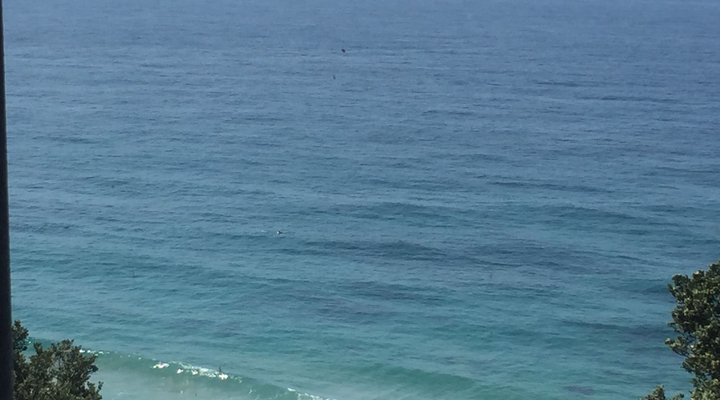 Pearl of Oysters in Umhlanga