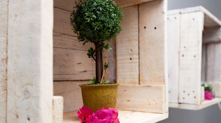 Sea Studio @ 302 On Old Sea-view Road Chelsea