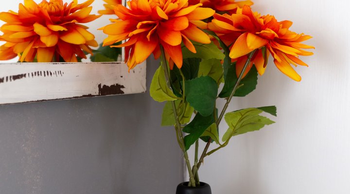 Sea Studio @ 302 On Old Sea-view Road Chelsea