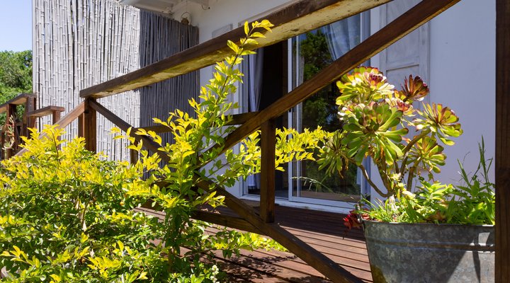 Bamboo Cottage @ 302 On Old Seaview Road Chelsea