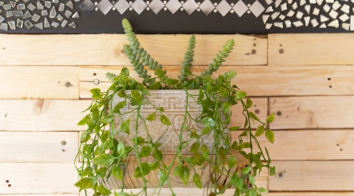Bamboo Cottage @ 302 On Old Seaview Road Chelsea