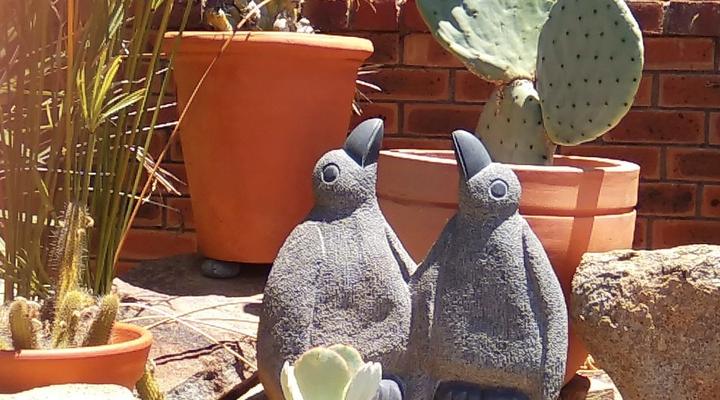 Avondrust Guest House