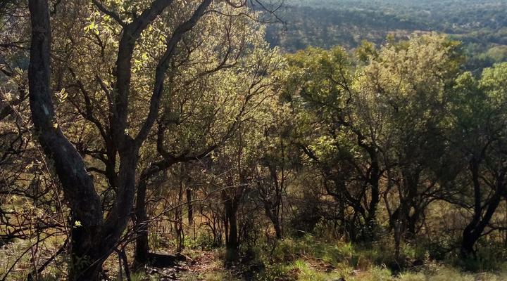 The Honey Nest Woonwapark