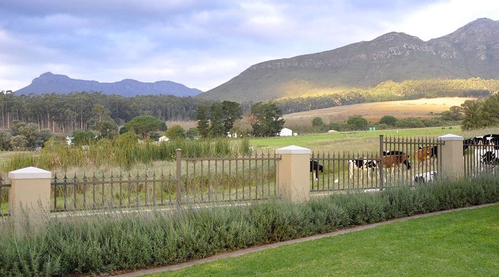 Stellenview Luxury Cottage