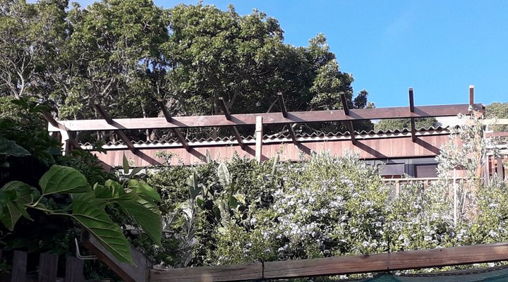 Scarborough: Holiday Homes, Cottages and Cabins