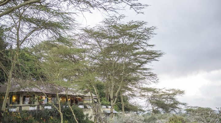 Hatari Lodge