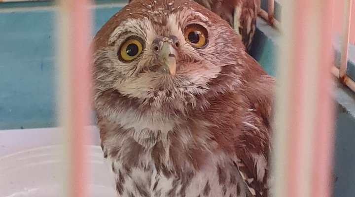 Paradise Rest Camp Grootfontein