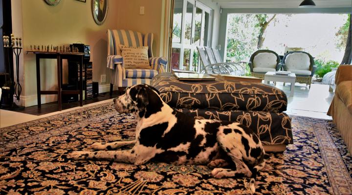 Under the Oak Bed and Breakfast