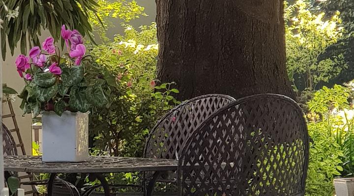 Under the Oak Bed and Breakfast
