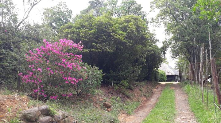 Pumula Central Drakensberg