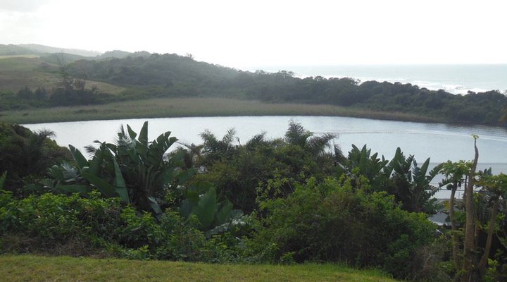40 Nkwazi Drive