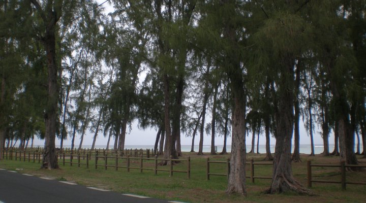 Residence Beach Apartment