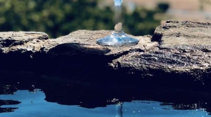 Leeudraai Safaris Limpopo