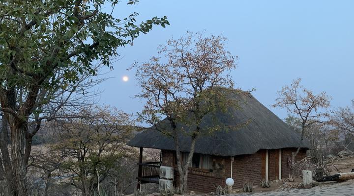 Leeudraai Safaris Limpopo