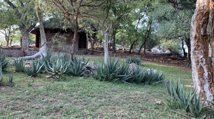 Leeudraai Safaris Limpopo