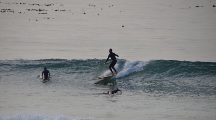 Guinea Fowl House B & B