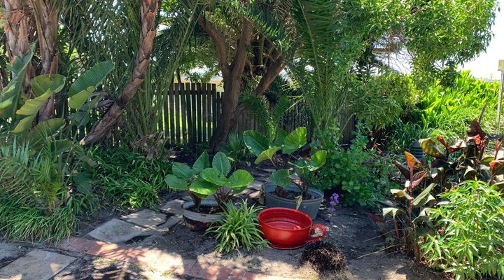 Lakehouse Zeekoevlei