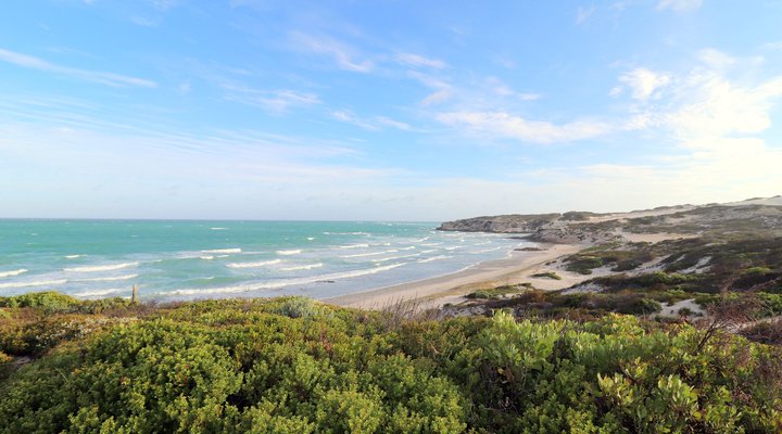 Roman View - Sea Front