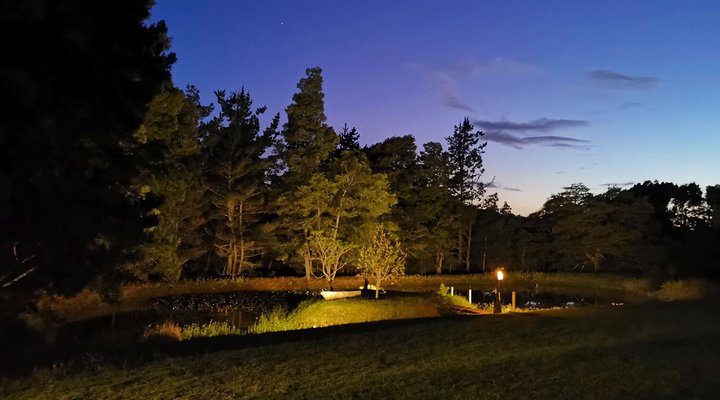 Blackwood Rest Forest Retreat