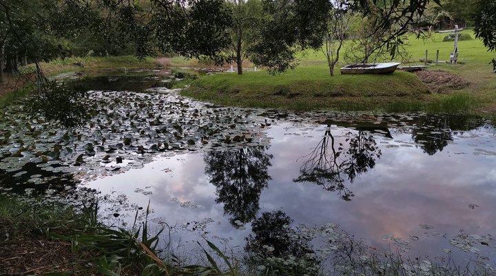Blackwood Rest Forest Retreat