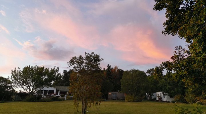 Blackwood Rest Forest Retreat