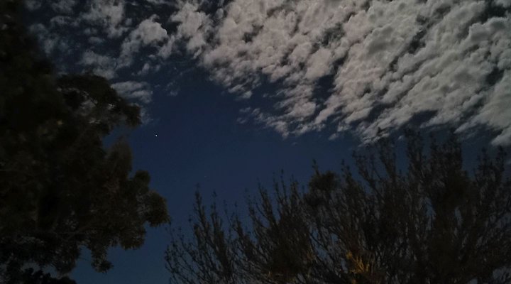 Blackwood Rest Forest Retreat