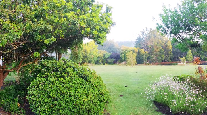 Blackwood Rest Forest Retreat