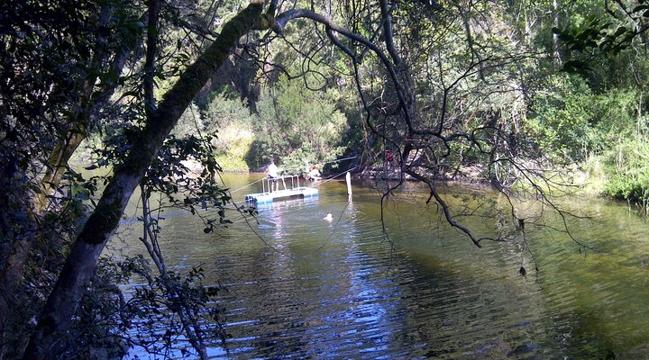 Cabin in the Creek