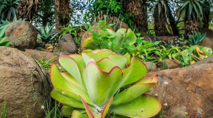 Mhlume Country Club and Lodge