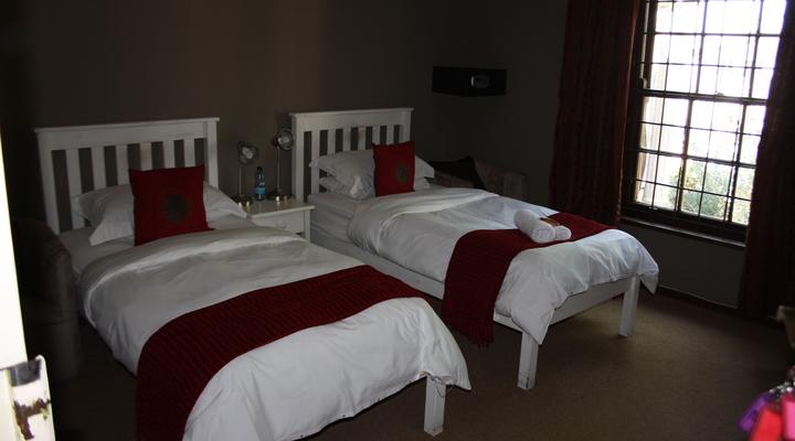 The Vinelands on Alpha